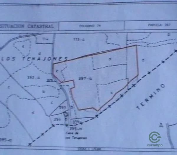 Finca agrícola de 6,5 ha en venta en Abanilla, Murcia