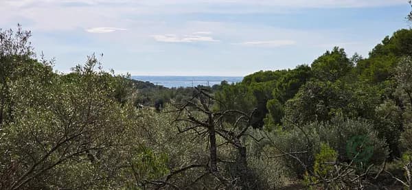 Finca rústica de 1,105 ha en venta en L'ametlla de mar, Tarragona