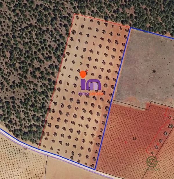 Finca agrícola de 0,65 ha en venta en Valdepenas, Ciudad real