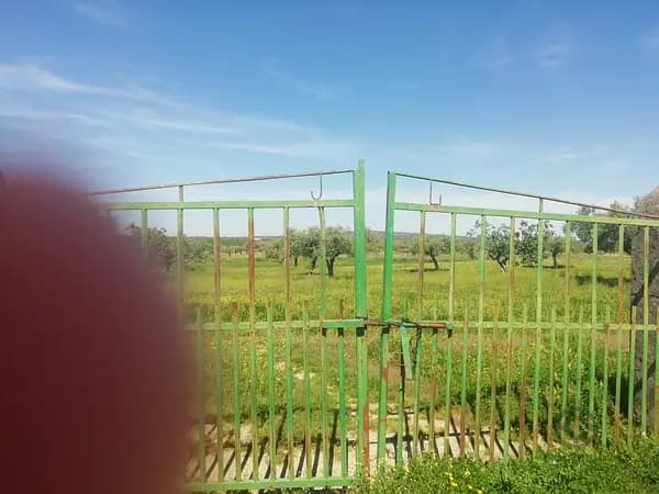 Finca rústica de 1 ha en venta en Cáceres