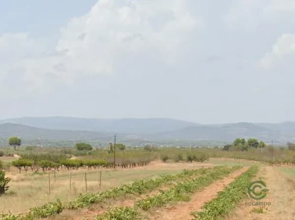 Finca rústica de 0,1612 ha en venta en Vilafames, Castellon