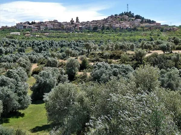 Finca agrícola de 1,05 ha en venta en Teruel