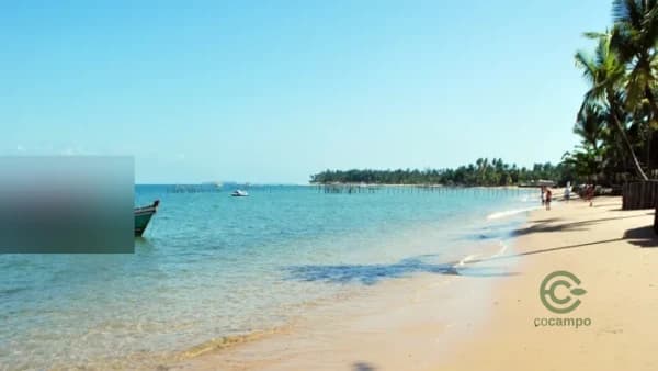 Terra urbana de 3,61 ha para venda em Bahia