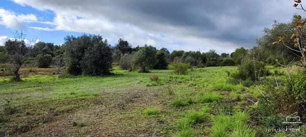 Finca rústica de 0,987 ha en venta en Salir, Algarve
