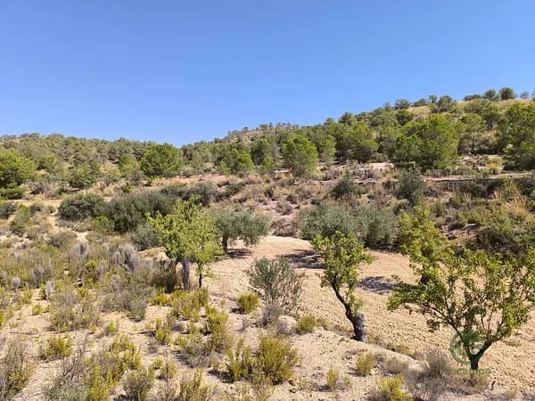 Finca agrícola de 0,43 ha en venta en Monovar, Alicante