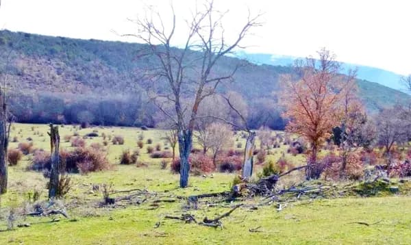 Finca rústica de 500 ha en venta en Segovia