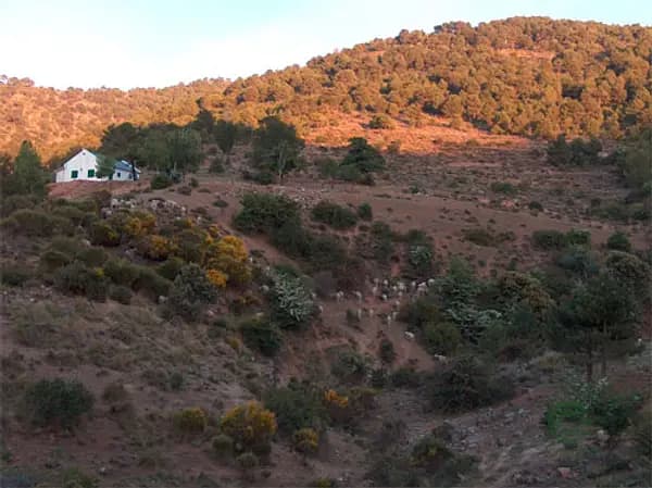 Finca rústica de 300 ha en venta en Granada