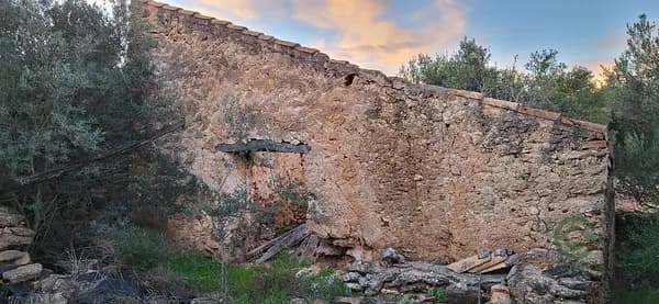 Finca agrícola de 2,66 ha en venta en Roquetes, Tarragona