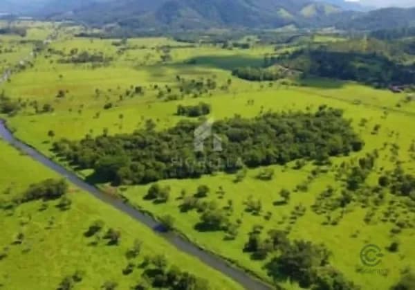 Fazenda rustica de 24,9 ha para venda em Santa catarina