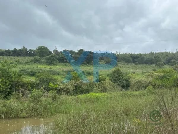 Fazenda rustica de 30 ha para venda em Minas gerais