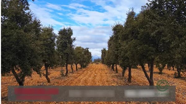 Finca agrícola de 9 ha en venta en Albentosa, Teruel