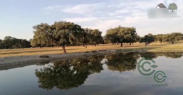 Finca ganadera de 190 ha en venta en Cáceres