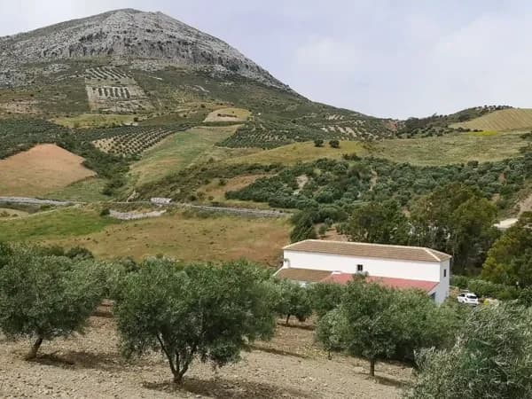 Finca rústica de 7,5 ha en venta en Antequera, Malaga