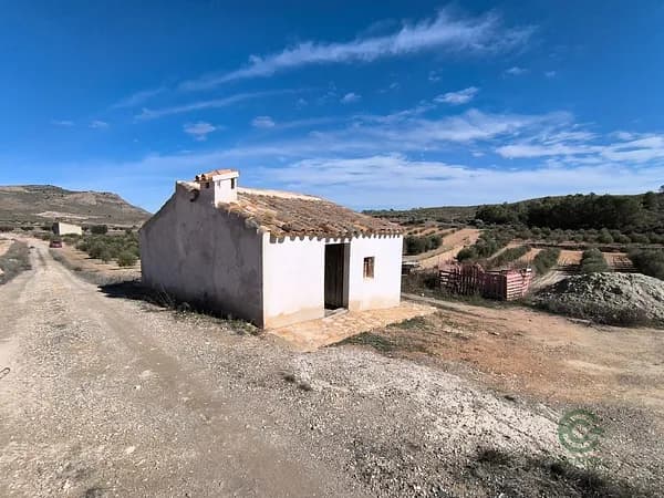 Finca agrícola de 3,0042 ha en venta en Jumilla, Murcia