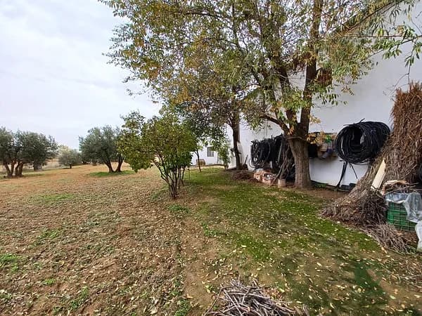 Finca rústica de 1,35 ha en venta en Roda (la), Albacete