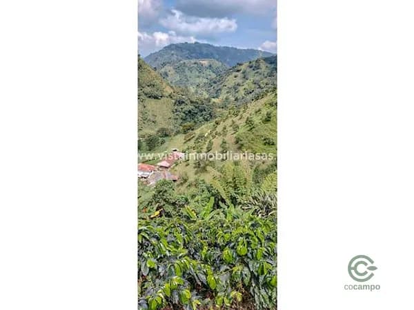 Finca agrícola de 14 ha en venta en Caldas