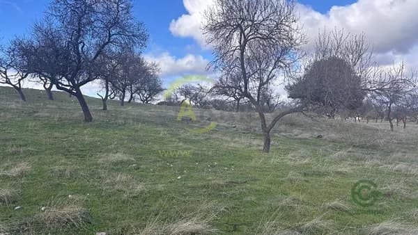 Finca rústica de 1,0405 ha en venta en Toledo, Toledo