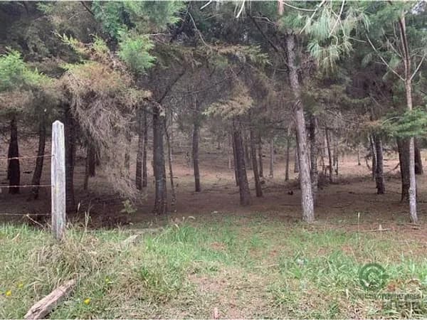 Terreno urbano de 0,6873 ha en venta en Antioquia