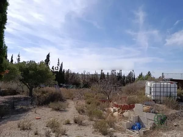 Finca agrícola de 0,4774 ha en venta en San miguel de salinas, Alicante