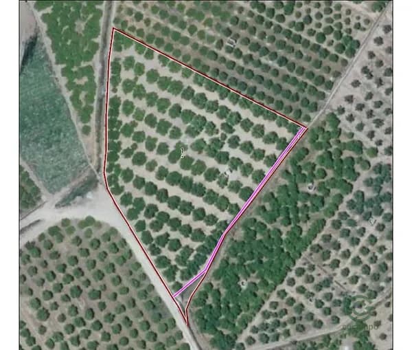 Finca agrícola de 0,4796 ha en venta en Alzira, Valencia