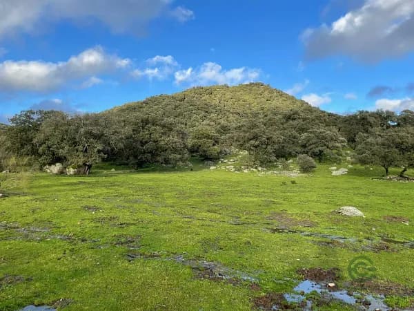 Finca ganadera de 150 ha en venta en Cáceres