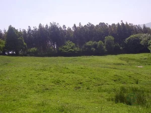 Finca rústica de 0,17 ha en venta en Aviles, Asturias