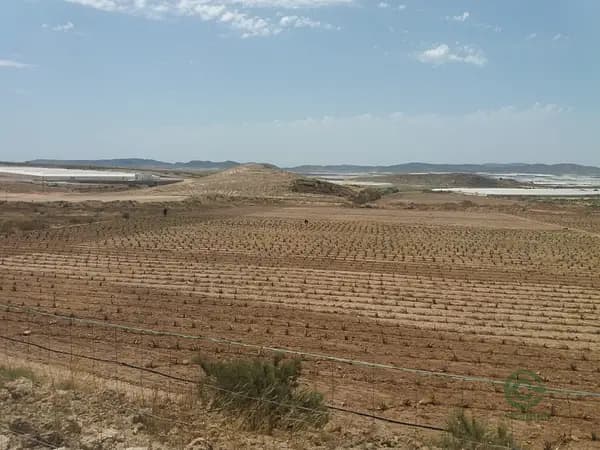 Finca agrícola de 5,4 ha en venta en Almería