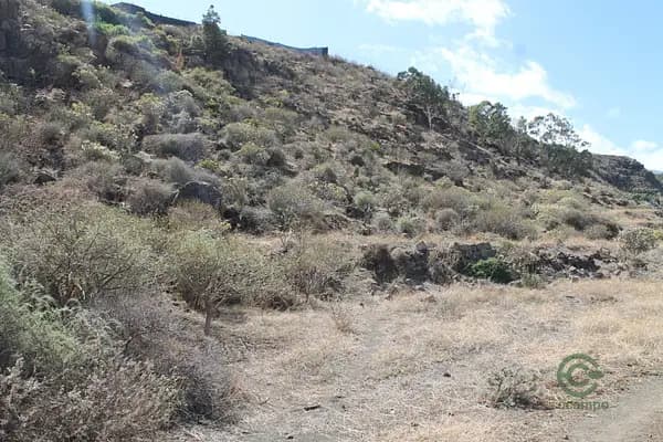 Finca rústica de 0,642 ha en venta en Telde, Las palmas