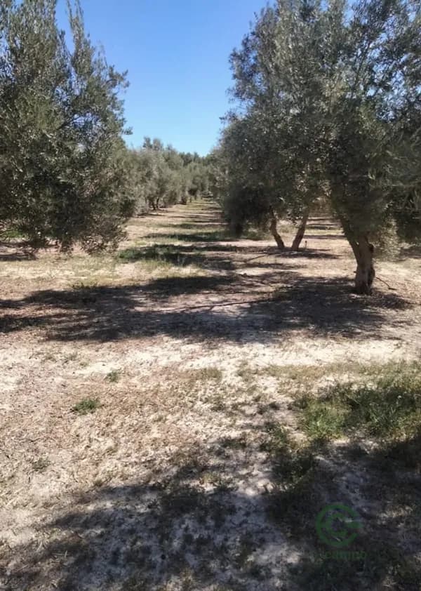 Finca agrícola de 1 ha en venta en Granada