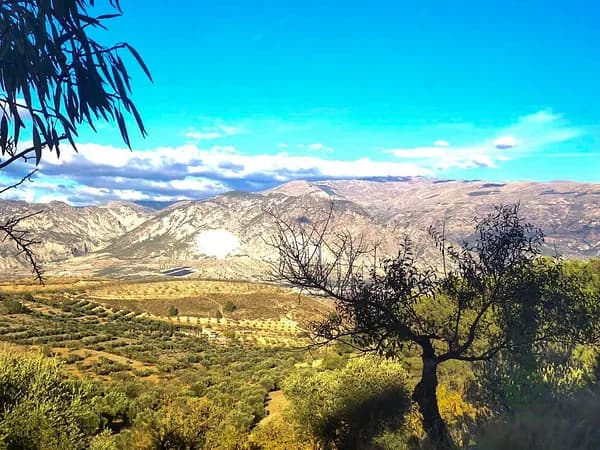 Finca agrícola de 3,4568 ha en venta en Cozvijar, Granada