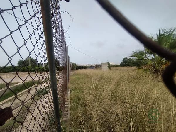 Agricultural property of 0,22 ha for sale in Valencia