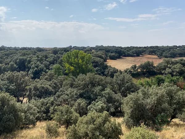 Finca rústica de 47 ha en venta en Cuenca