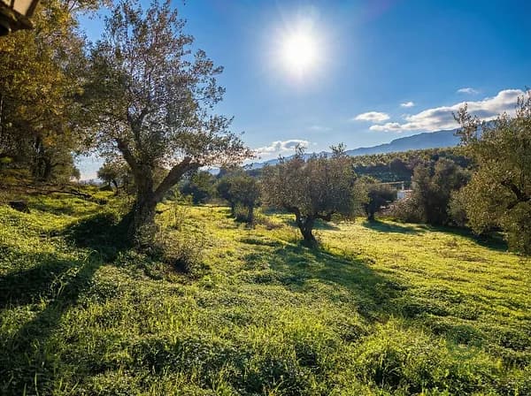 Finca rústica de 0,5675 ha en venta en Cártama, Malaga