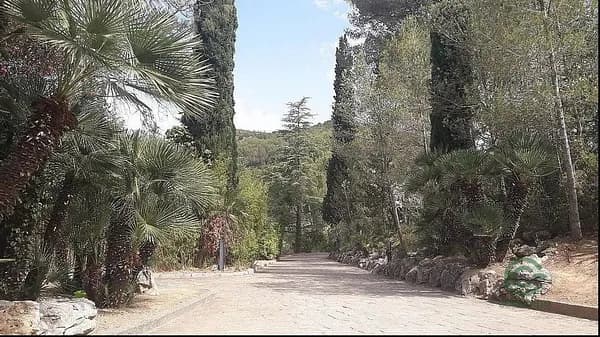 Finca rústica de 1,8 ha en venta en Olivella, Barcelona