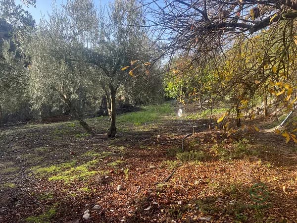 Finca rústica de 0,1704 ha en venta en Iznajar, Cordoba