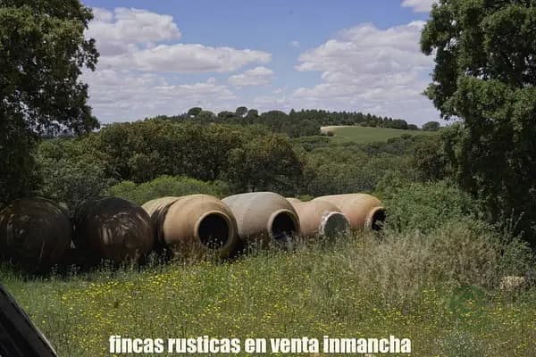 Finca rústica de 126 ha en venta en Cuenca
