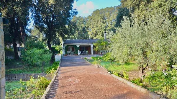 Finca rústica de 0,201 ha en venta en Sa pobla, Baleares