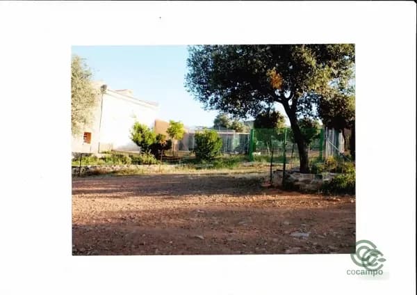 Finca rústica de 100 ha en venta en Ciudad real, Ciudad real