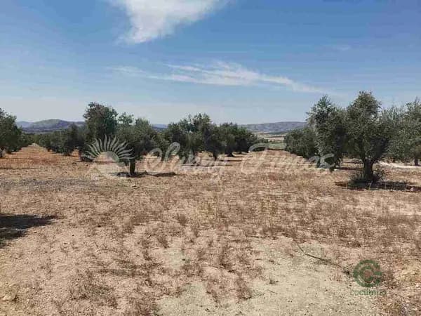 Terreno urbano de 2,5 ha en venta en Biar, Alicante