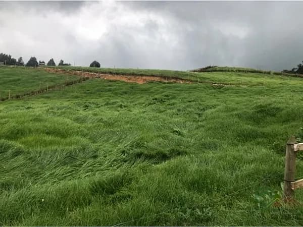 Terreno urbano de 0,1825 ha en venta en Antioquia