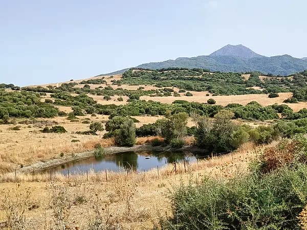 Finca ganadera de 223,8 ha en venta en Málaga