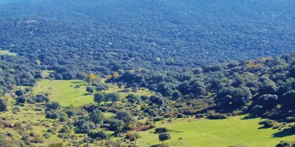 Finca rústica de 1600 ha en venta en Madrid