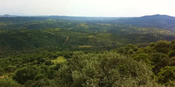 Finca rústica de 200 ha en venta en Jaén