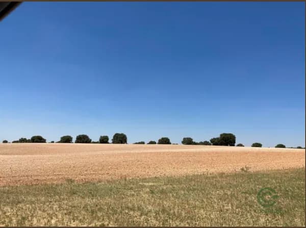 Finca agrícola de 400 ha en venta en Toledo