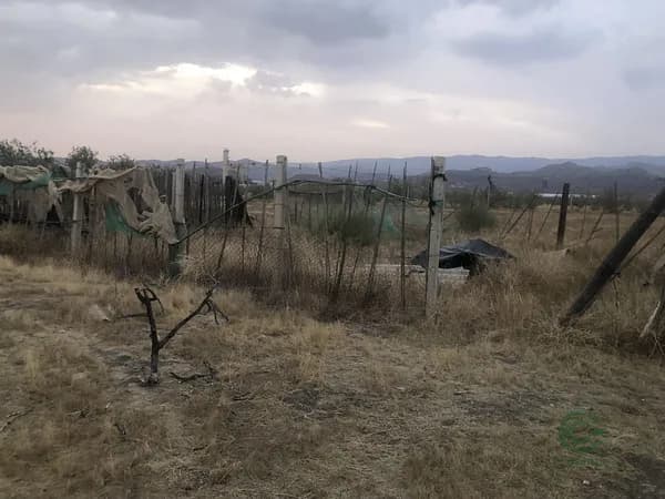 Finca rústica de 2 ha en venta en Tabernas, Almeria