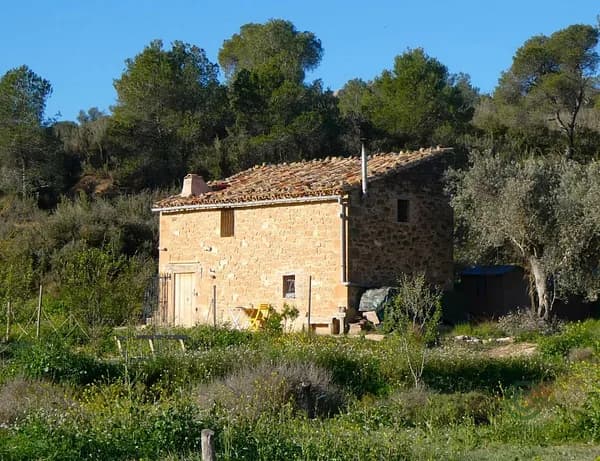 Finca rústica de 1,44 ha en venta en Maella, Zaragoza
