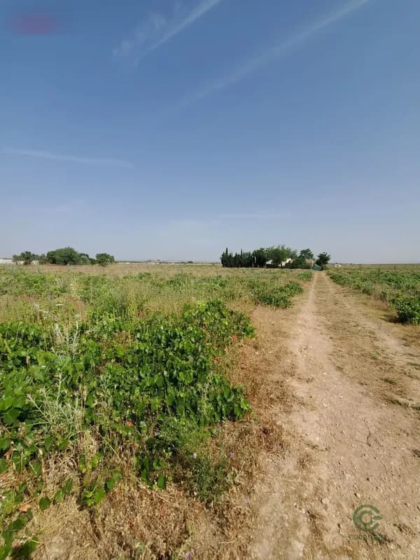 Finca agrícola de 12 ha en venta en Carrion de calatrava, Ciudad real