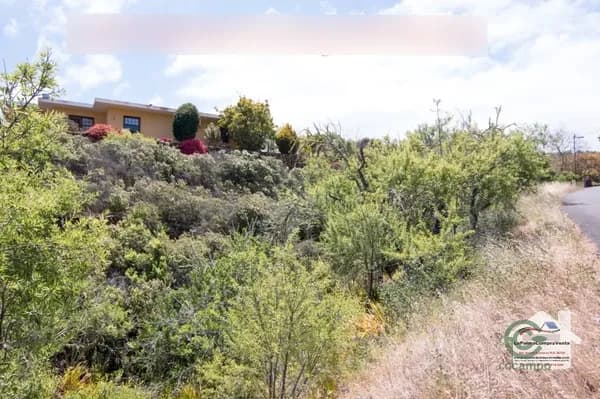 Finca rústica de 1,148 ha en venta en Puntagorda, Santa cruz de tenerife