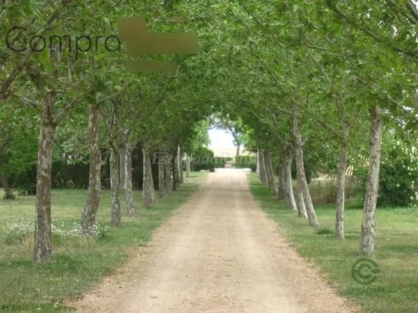 Finca rústica de 0,8 ha en venta en Valverde del majano, Segovia