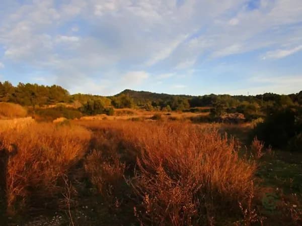 Finca rústica de 11,35 ha en venta en Tortosa, Tarragona